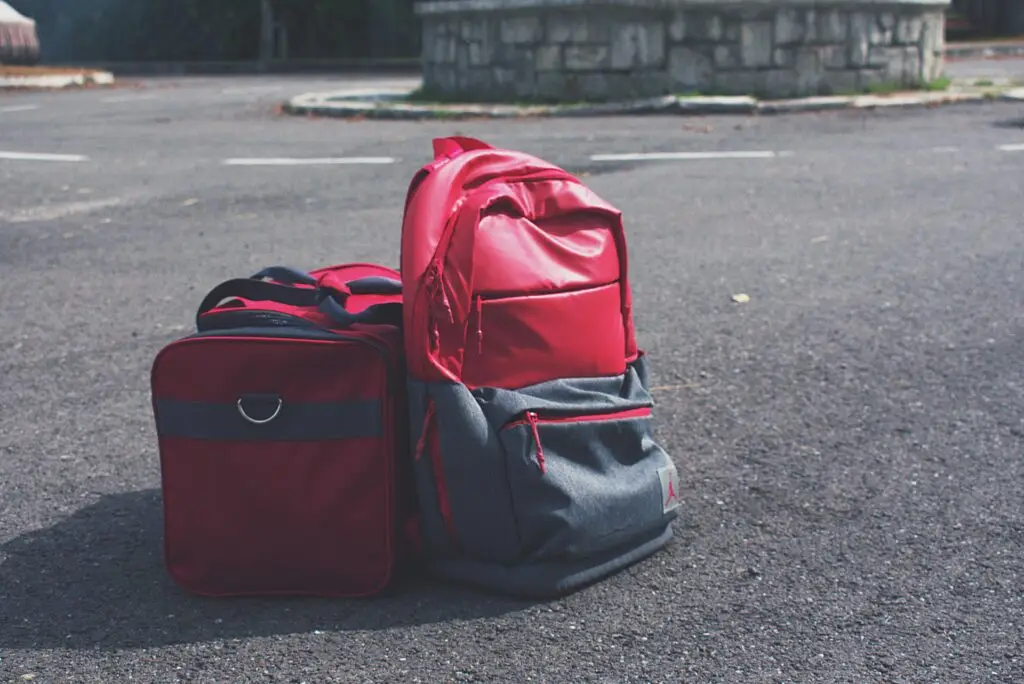 Two bags packed and ready for premium dog kennels