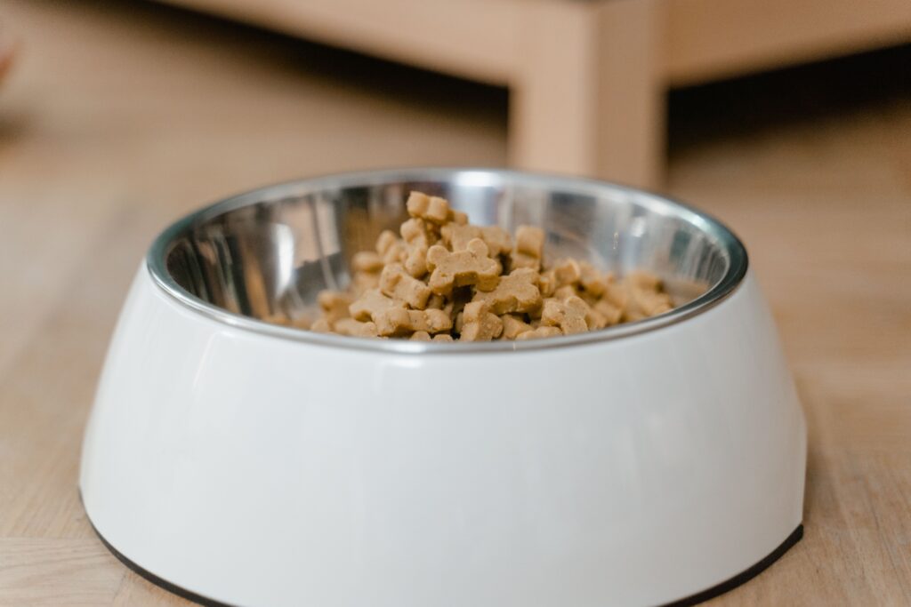 A dog bowl filled with dog food