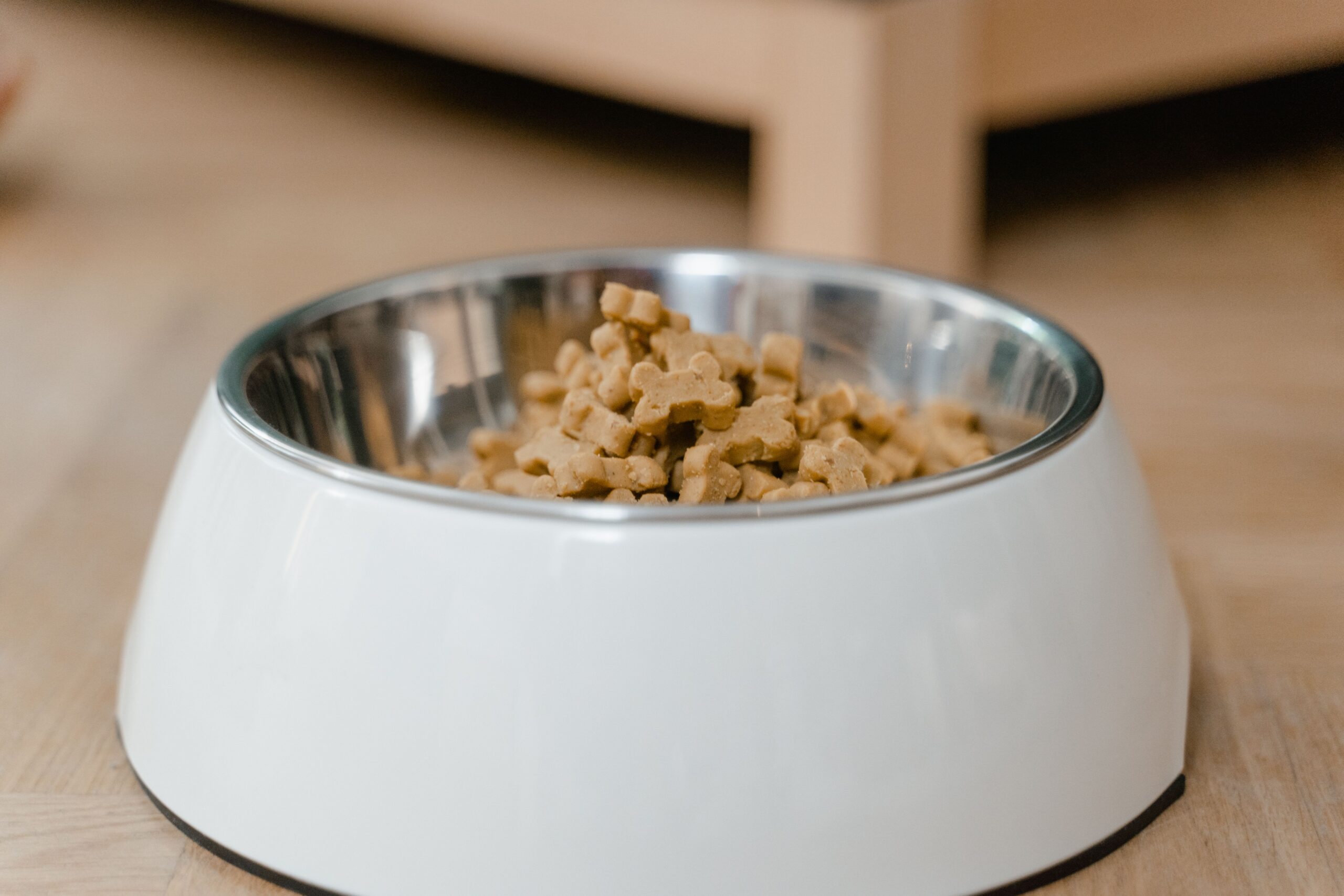 A dog bowl filled with dog food